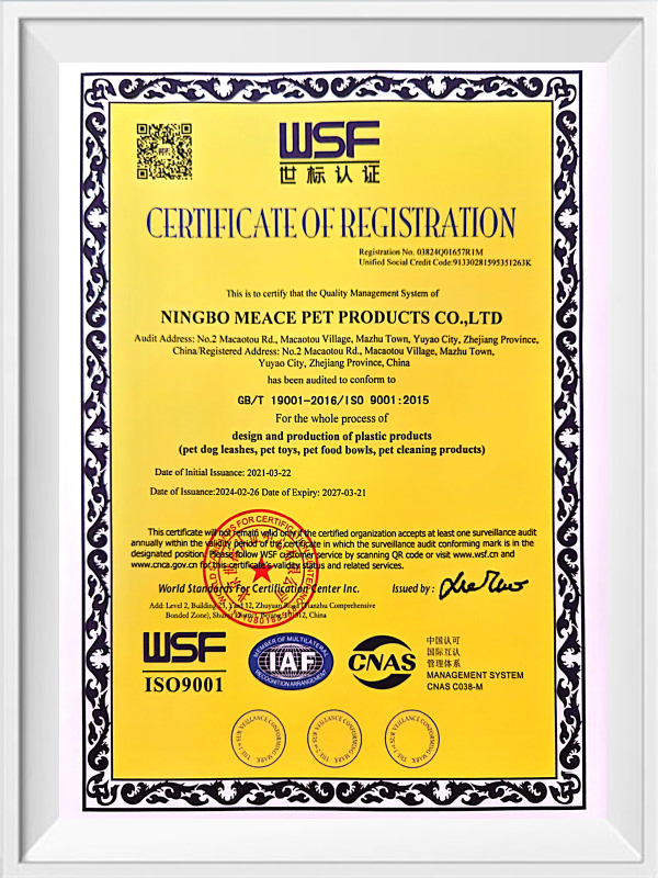 ISO9001 Certificate
