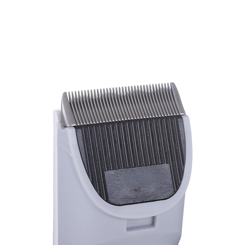 Customized Automatic Dog Leash